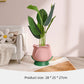 Tulip Ceramic Vase Home Crafts