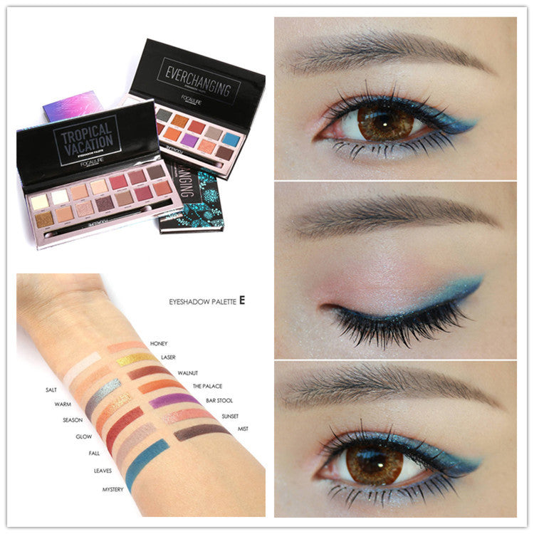 Hot money 14 color Fei Lu eye shadow disc dull light pearl eye shadow tropical warm brown makeup belt brush